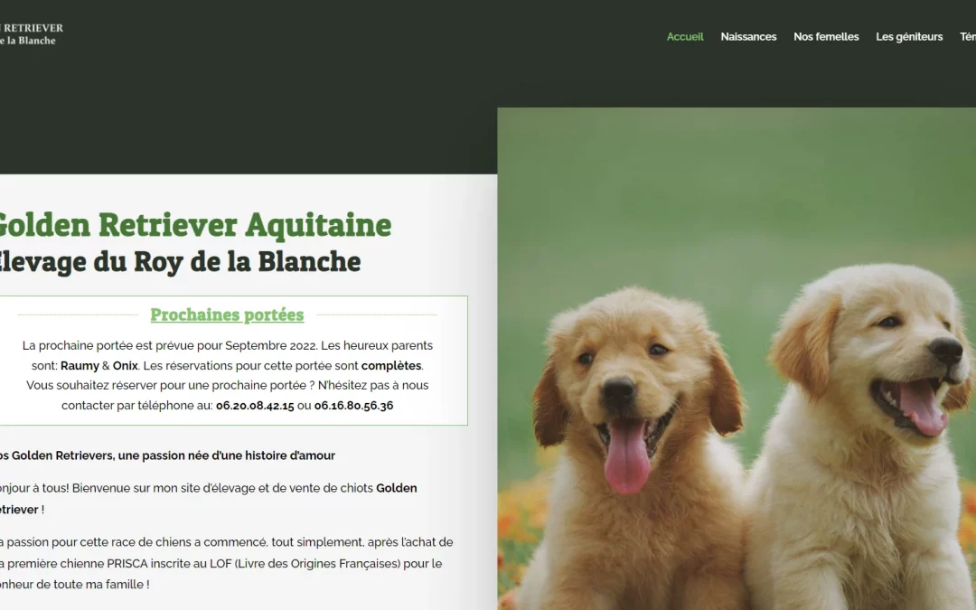 Retour d’experience – Site web élevage canin